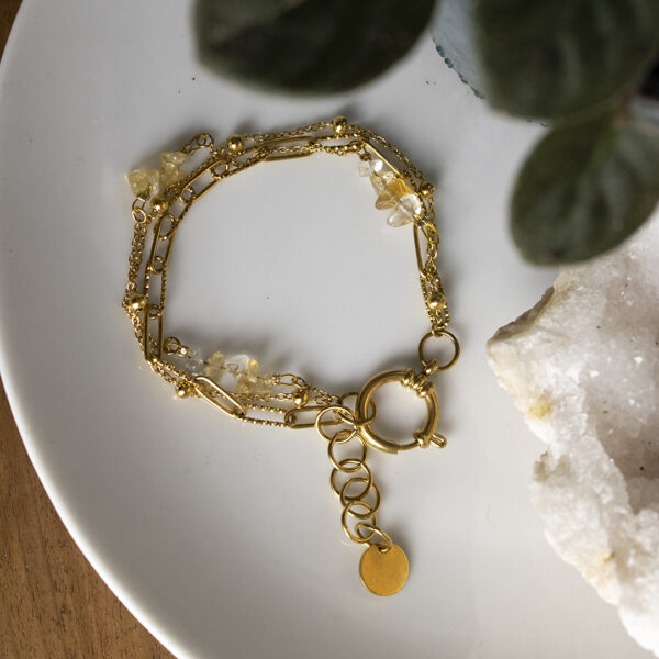 Bracelet en chaines mailles trombones et forçats en acier inoxydable avec fermoir bouée et perles de citrine, posé sur une assiette avec des feuilles qui dépassent sur le côté